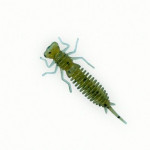 Приманка FANATIK Larva 1,6 (10шт) цвет 001
