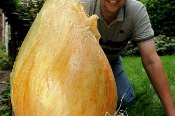 Кракен актуальная ссылка на сегодня