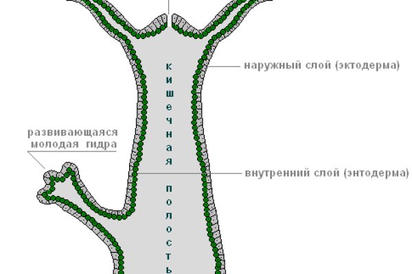 Магазины с наркотиками