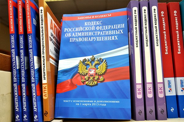 Darknet как войти