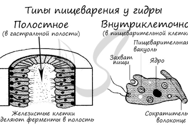 Кракен сайт это