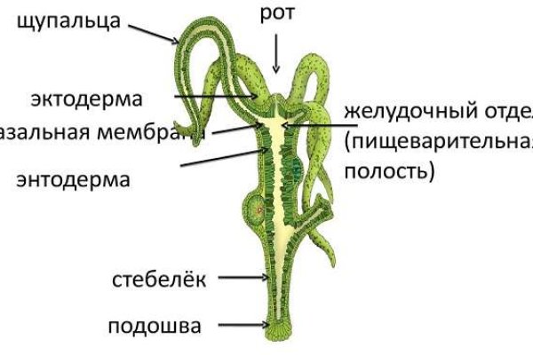 Darknet магазин