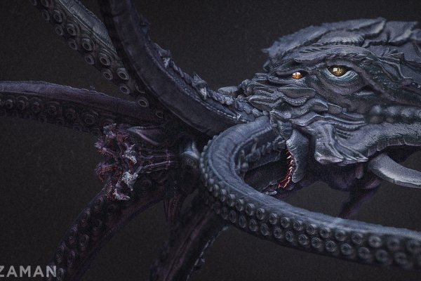 Kraken 24 top