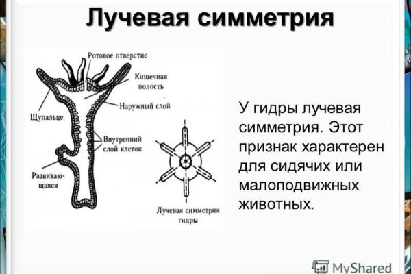 Kraken cc ссылка