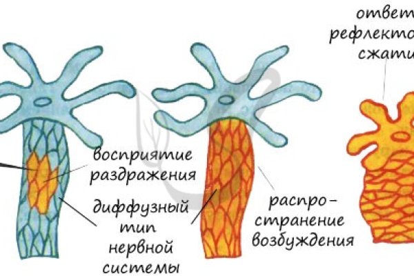 Ссылка на кракен реальная