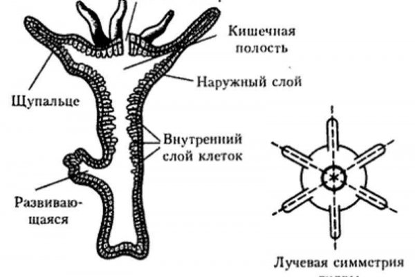 Kra40.at Вход на сайт главная страница