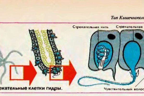 Кракен купить наркотики