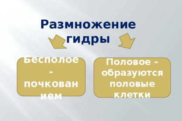 Кракен это гидра