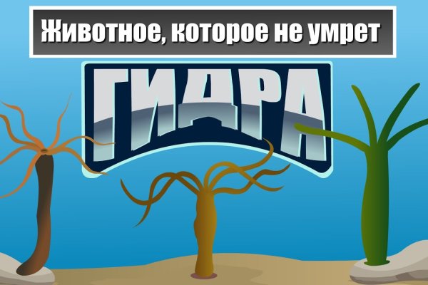 Кракен актуальная ссылка на сегодня