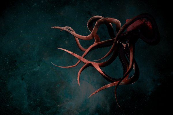 Kraken 11at