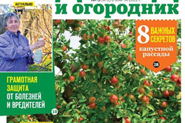 Сайт кракен рабочая ссылка
